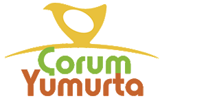 Çorum Yumurta